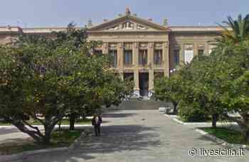 Messina, 146 assunzioni nell’azienda Social city - Livesicilia.it