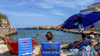Italien: 30 Grad im Mittelmeer – Wird Quallen-Plage normal?