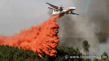 Waldbrände in Frankreich zerstörten 74 Quadratkilometer Wald