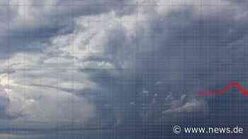 Biowetter heute in Cottbus: Ambrosia-Allergiker aufgepasst! Die Pollenflug-Belastung aktuell im Überblick - news.de