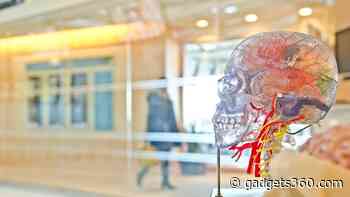 AI Algorithm That Recognises Anomalies in Brain May Help Treat Epilepsy