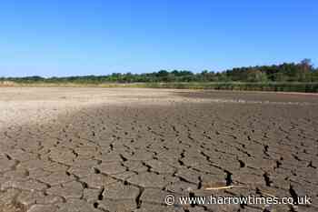 Drought areas UK:  Is there a ban in London?