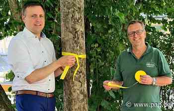 Gelbe Bänder an den Bäumen: Hier darf man in Traunstein Obst pflücken - Traunstein - Passauer Neue Presse - PNP.de