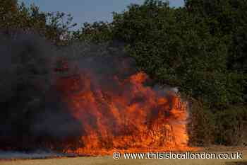 Live updates as firefighters tackle large Leytonstone grass fire