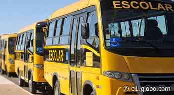 Justiça proíbe circulação de ônibus escolar sem inspeção em Porto Calvo após ação do MP-AL - Globo.com