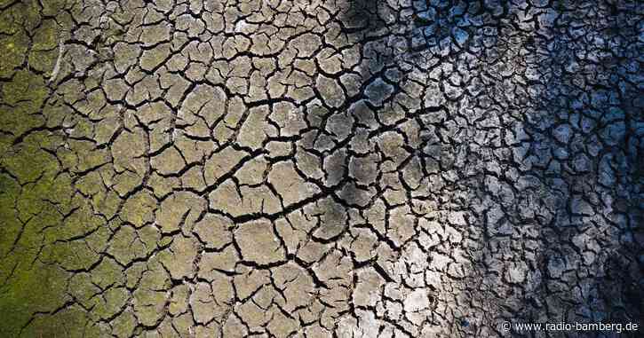 Bamberger Strategien gegen Wasserknappheit