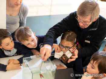 Bad Sassendorf, Chemie und Technik im Sommerprogramm der Westfälischen Salzwelten 2022, Gütsel Online, OWL live - Gütsel