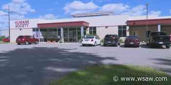 Marathon County Humane Society works to accommodate 23 rescued animals - WSAW