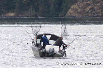 Alberni’s Somass River sockeye return doubles its original forecast - Saanich News