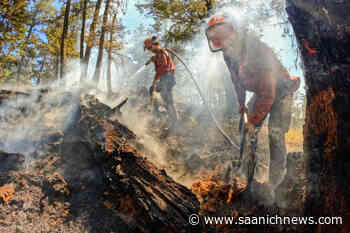 Keremeos Creek wildfire evacuation orders rescinded for Olalla - Saanich News