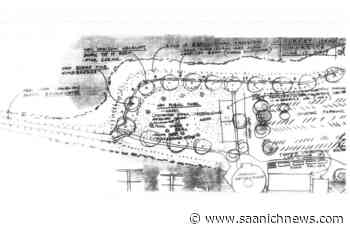 ‘Paved wasteland’: Debating the vision for Spewhung and Oak Bay Marina - Saanich News