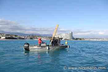 "C'était une réussite": maire de Villeneuve-Loubet, Lionnel Luca plaide pour un retour, en mer, des bambous censés freiner l'érosion côtière - Nice matin