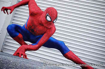 As Spider-Man turns 60, fans reflect on diverse appeal - Cranbrook Townsman