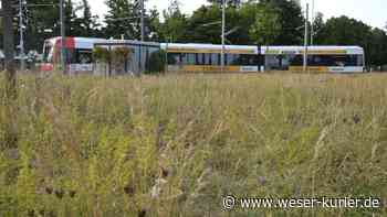 Lilienthal vor der Bürgermeisterwahl - WESER-KURIER