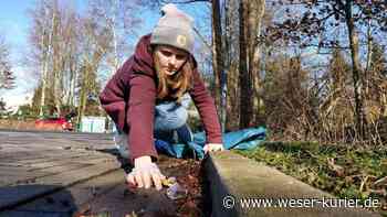 Dorfputz am 30. April: Lilienthal räumt auf - WESER-KURIER