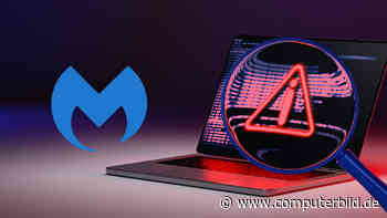 Malwarebytes Anti-Malware: Anleitung zur Virus-Entfernung - COMPUTER BILD