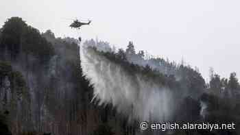 Czech firefighters put out huge forest fire after 20 days: Minister - Al Arabiya English
