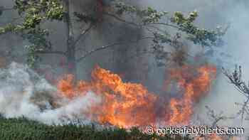 Forest Fire – Condition Orange – High Fire Risk - Cork Safety Alerts