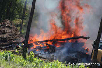 Forest fire near Bordeaux forces over 10,000 to flee - EUobserver