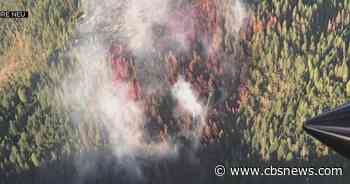 Plum Fire in the Tahoe National Forest prompts large response - CBS Sacramento