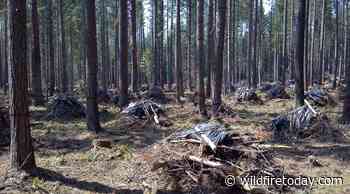 Report: US Forest Service is sometimes overstating fuel management accomplishments - Wildfire Today