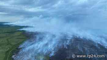 Newfoundland facing its biggest forest fire since 1961, Premier says - CP24