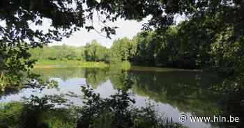 Provincie zet verder in op verbeterde waterhuishouding 't Veld - Het Laatste Nieuws