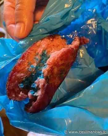 Colleferro, polpette avvelenate per colpire cani e gatti: attenzione - Casilina News