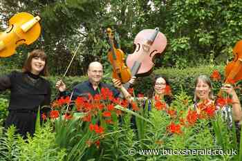 Bees inspire arrangement at afternoon concert in Buckingham - Bucks Herald
