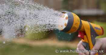 Yorkshire Water announces hosepipe ban with fines of up to £1,000 - Hull Live