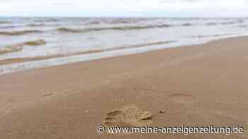 Bissig und aggressiv: Strandurlauber in Südfrankreich klagen über Fischattacken