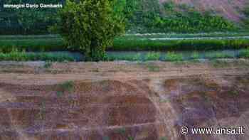 Un'opera di 'land art' sulla campagna elettorale - Italia - Agenzia ANSA