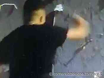 Sfregia l’opera sul sisma, il Pd di Mirandola caccia il segretario dei giovani - Corriere della Sera