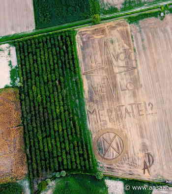 Un'opera di 'land art' sulla campagna elettorale - Agenzia ANSA