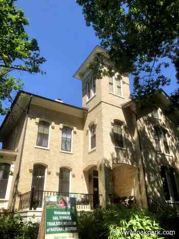 Get to know the forest and its creatures at Trailside Museum - Wednesday Journal