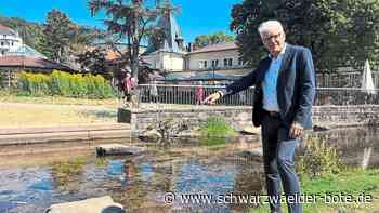 10 000 Liter pro Woche: Bad Herrenalb will zum Wasser sparen Blumenkästen abhängen