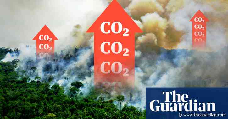 How the Amazon has started to heat the planet – video