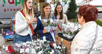 Plantjesweekend van Kom op tegen Kanker zoekt vrijwilligers - Het Laatste Nieuws