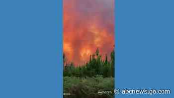 WATCH:  Dozens of wildfires burn in southwestern France