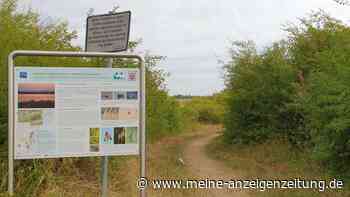 Mord an Ayleen: Verdächtiger als Mehrfachintensivtäter auf dem Radar gewesen