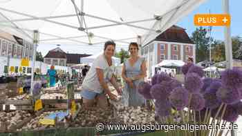 Von Blumenzwiebeln bis Whirlpool: Was Diga-Besucher in Wiblingen erwartet