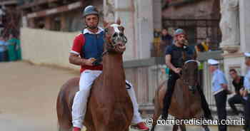 Palio di Siena, ecco i cavalli ammessi alla tratta di domani, sabato 13 agosto - Corriere di Siena