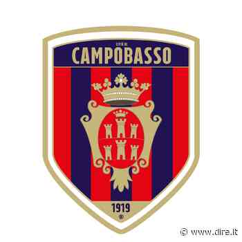 Il Comune di Campobasso pubblica un avviso per iscrivere la squadra di calcio al prossimo campionato - Dire