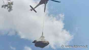 Lecco, la mucca Valentina sta per partorire nel dirupo: la salvano i vigili del fuoco - IL GIORNO