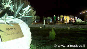 Atripalda. Nel parco dedicato a Parziale risuonano le note dell'integrazione - Prima Tivvù