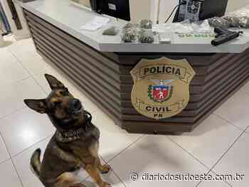 Polícia estoura biqueira de drogas no Centro de Pato Branco - Diário do Sudoeste