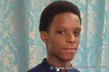 Family tribute to Enfield boy, 14, who died in Cheshunt lake