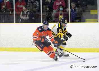 Leaving the birds nest: Sault resident Mason Chitaroni heading to the Acadie-Bathurst Titan of the QMJHL - The Sault Star