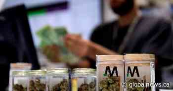 Hundreds of OCS pot shops to receive deliveries after cyberattack on partner