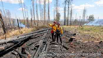 Waldbrand am Brocken: 500 Feuerwehrleute im Einsatz